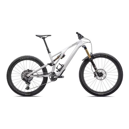 STUMPJUMPER EVO PRO 2023